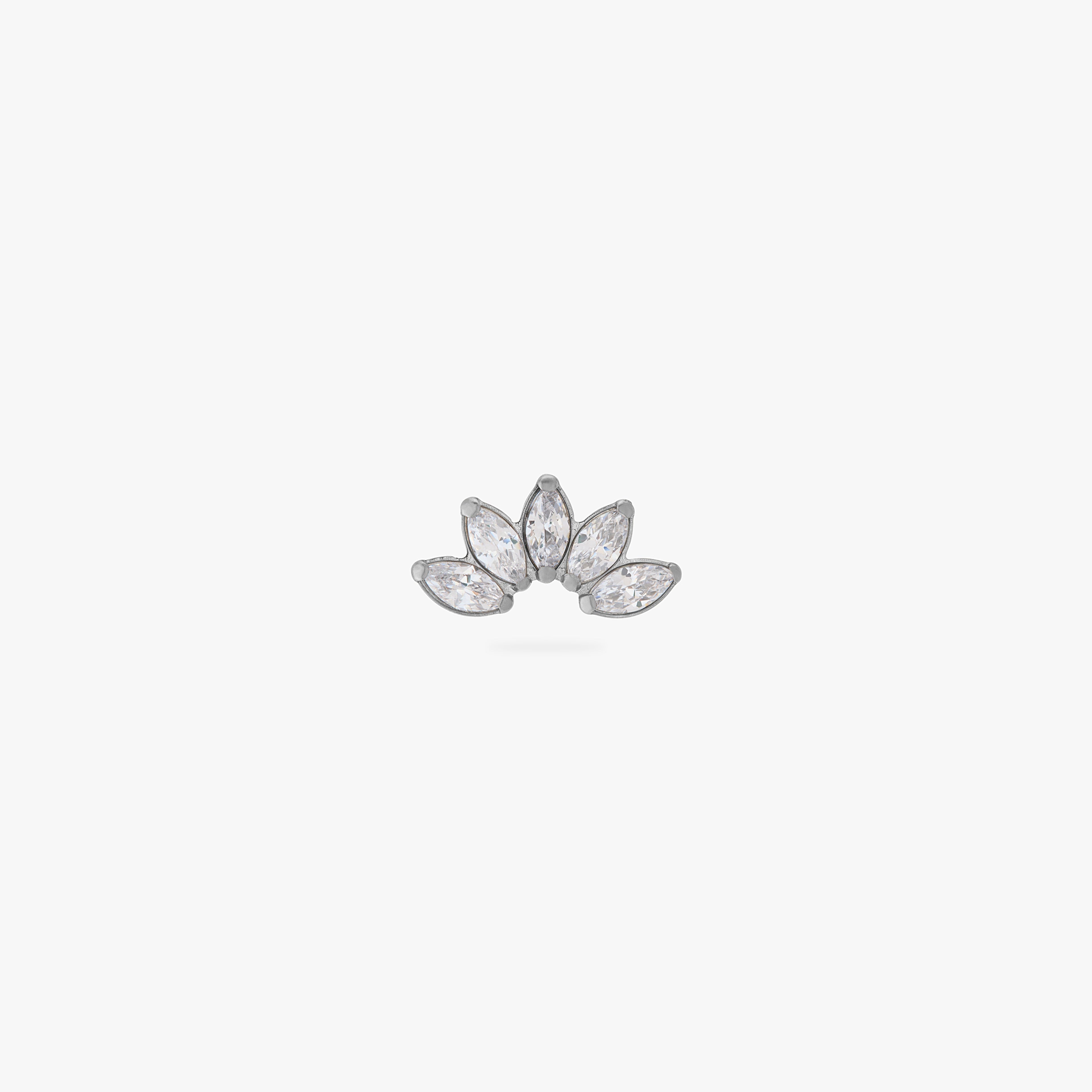 Titanium Crown