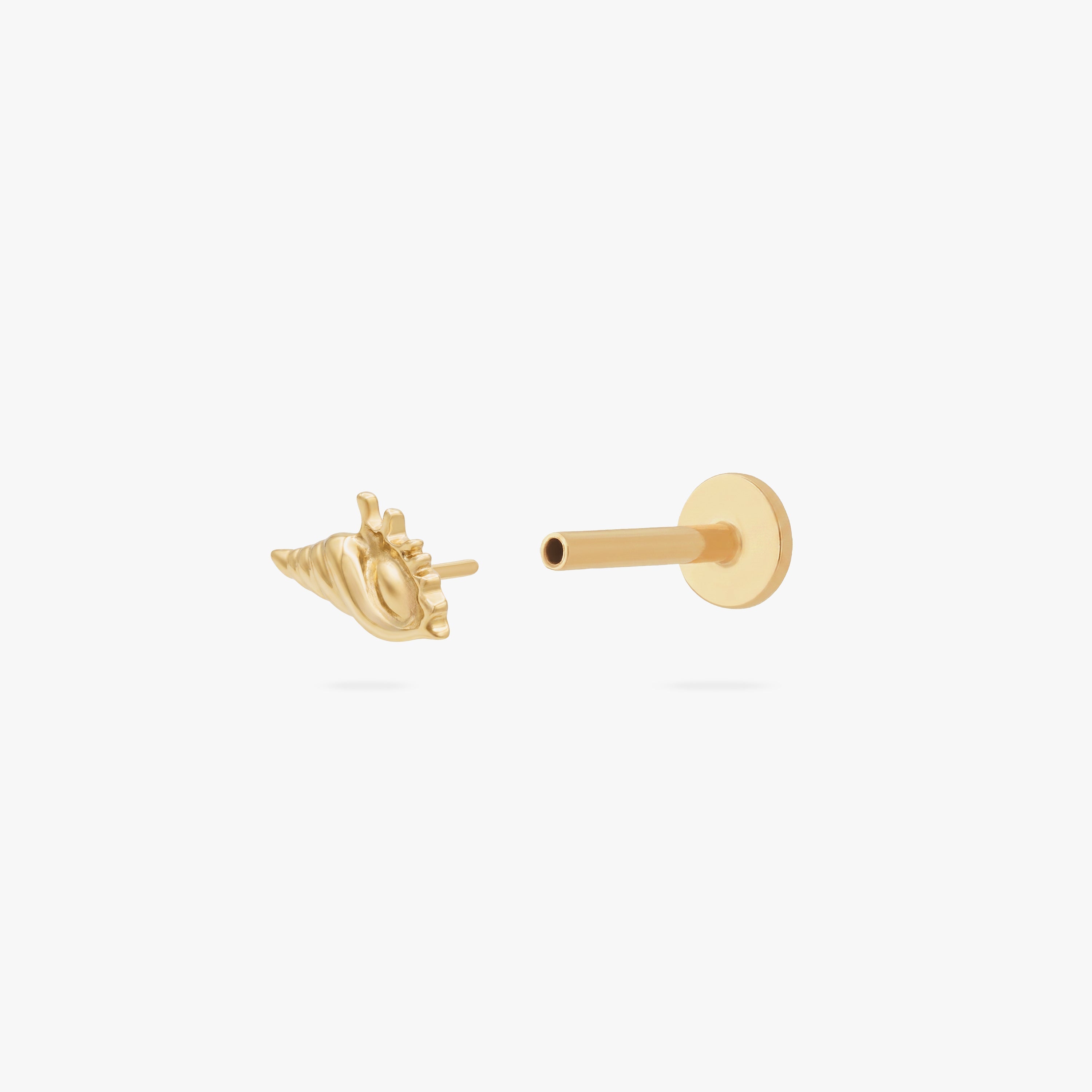 14K Conch Shell Flatback